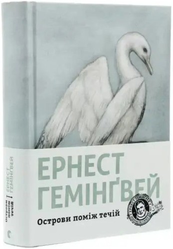 Острови поміж течій